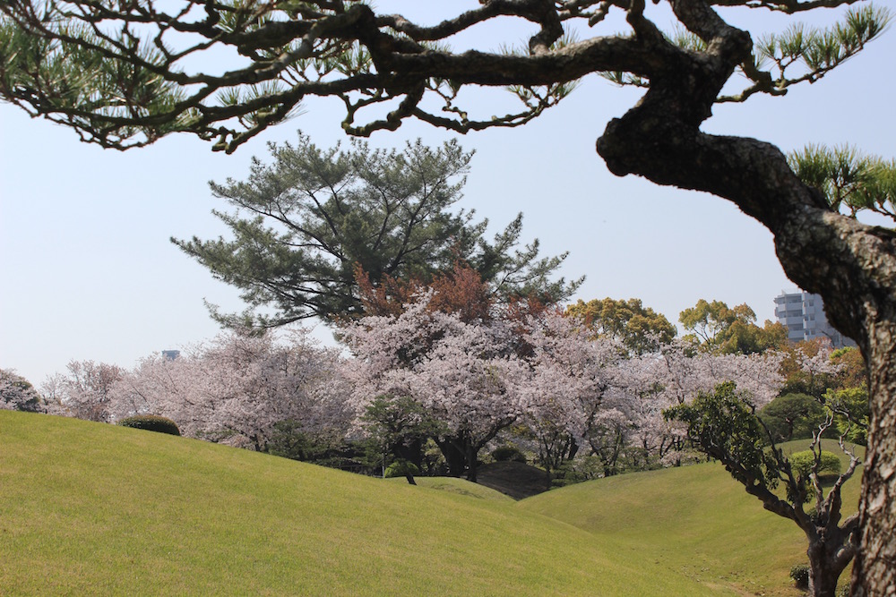 suizenji koen