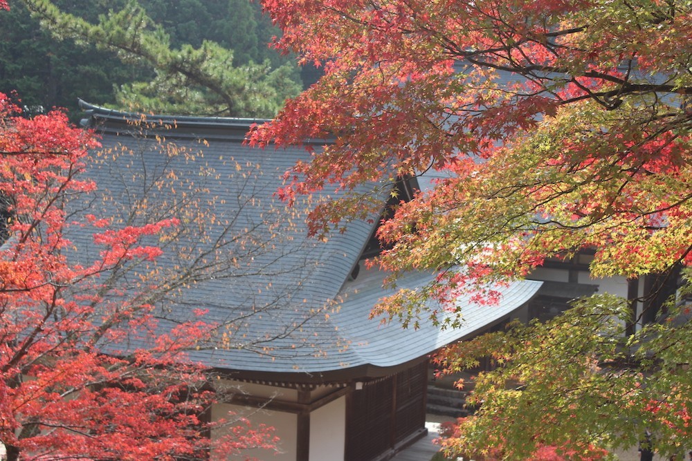 Jingo-ji