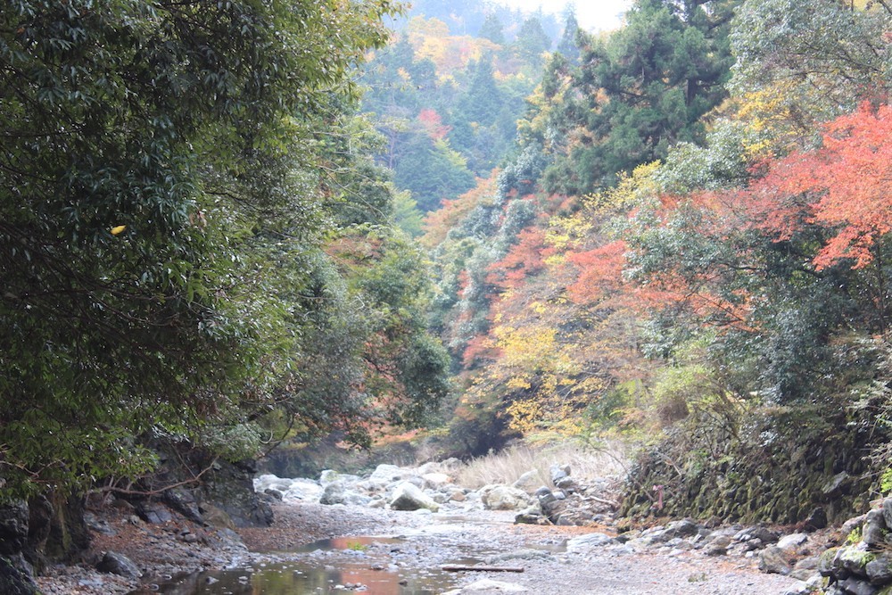 kiyotaki