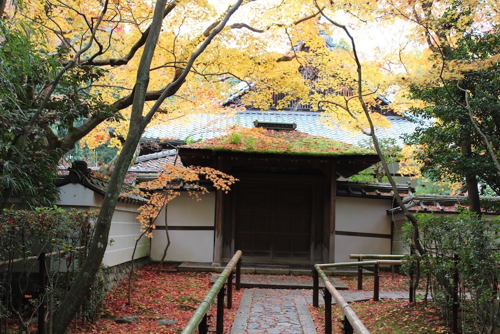 koto-in