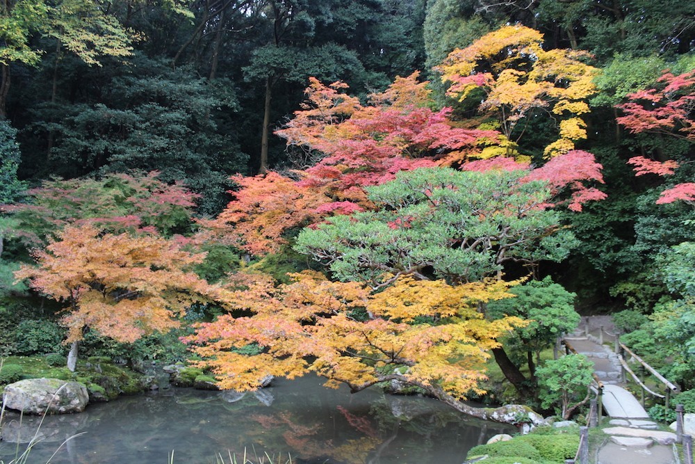 nanzenin