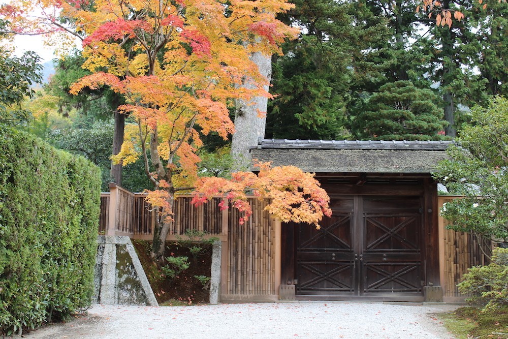 shugaku1