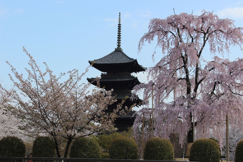Toji1