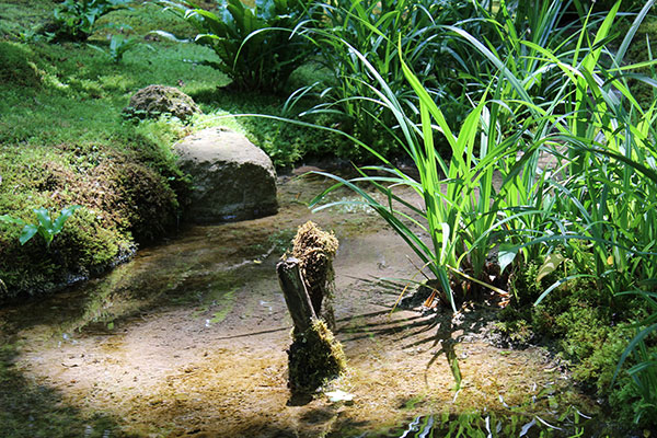 jardins de mousse à Coplet