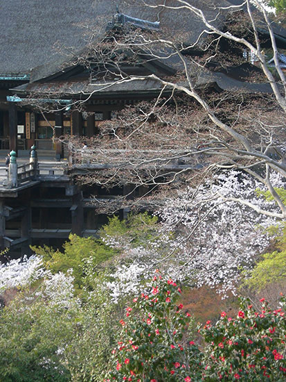 voyage au Japon avec Franck Armand